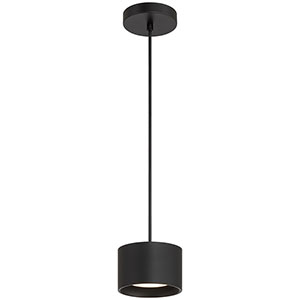 Bongo